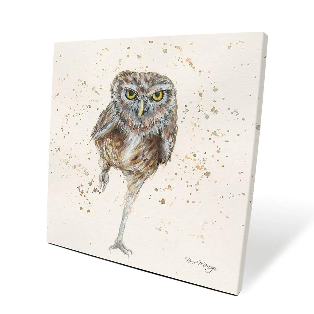 Bree Merryn Oliver owl 40cm Canvas