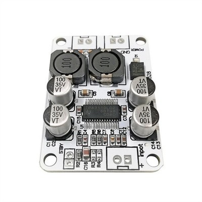2 Stück 4 Stück TPA3110 Digital Audio Board 30 W Einkanal Breitspannung DC 8 V