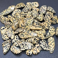 Spotted Dalmatian Jasper Tumbled Stones (By The Piece Or Pound) Wholesale