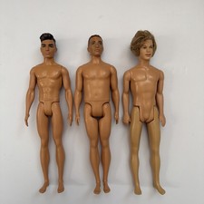 Barbie Ken Doll Lot | Barbie Doll Fashionista | Barbie Ken Dolls 