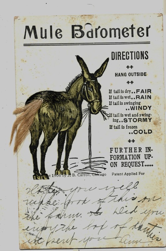 mule barometer