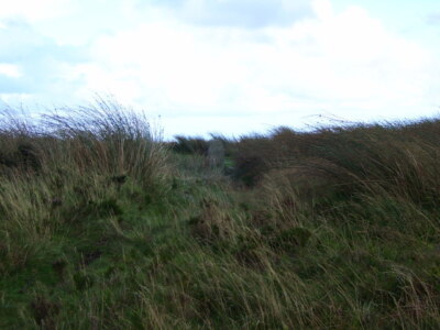 Foto 6x4 Hamel Down Heathercombe Grenzstein Markierung Gipfel. c2008