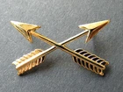 Special Forces Arrows Insignia Cap Hat Jacket Lapel Pin 1.5 inches