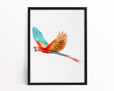 Aquarell Scharlachara gerahmt Vogelliebhaber Wanddruck Scharlacharroter Ara Wandbild