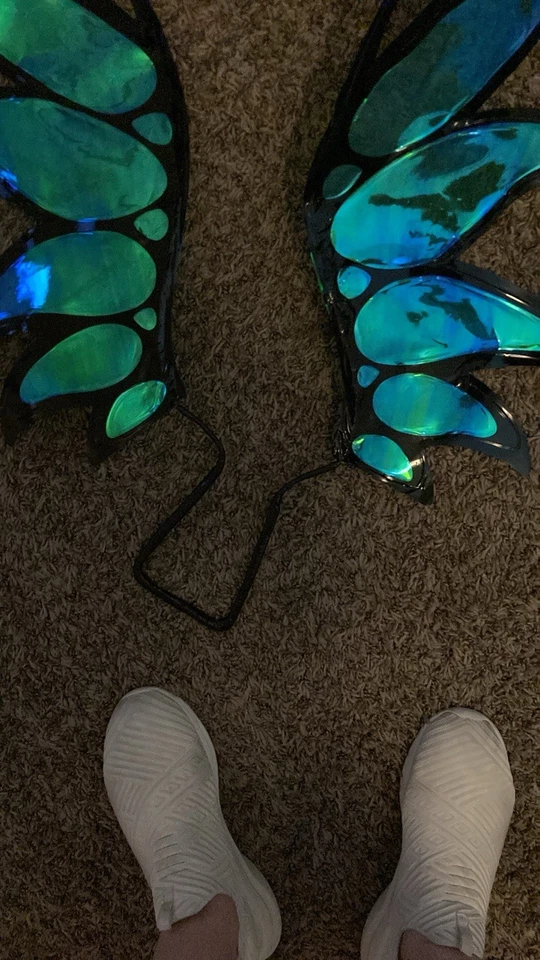 Will Vandom (W.I.T.C.H.) Cosplay Wings (daños menores) Foto 3 de 4