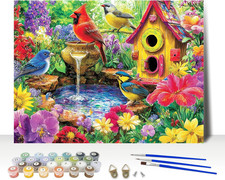 Colorful Birds Paint by Numbers Kits for Adults Beginner, Garden Birds Adult Pai