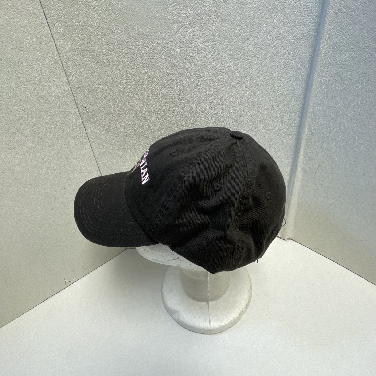 SMITHSONIAN INSTITUTION MUSEUM StrapBack Hat Cap … - image 3