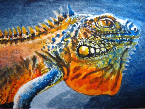 Painting Iguana Reptile Animals Nature ACEO Art