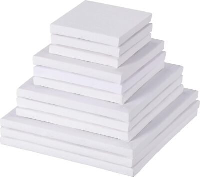 12 Pieces Assorted Size Mini Art Canvas Stretched for Craft Painting ...