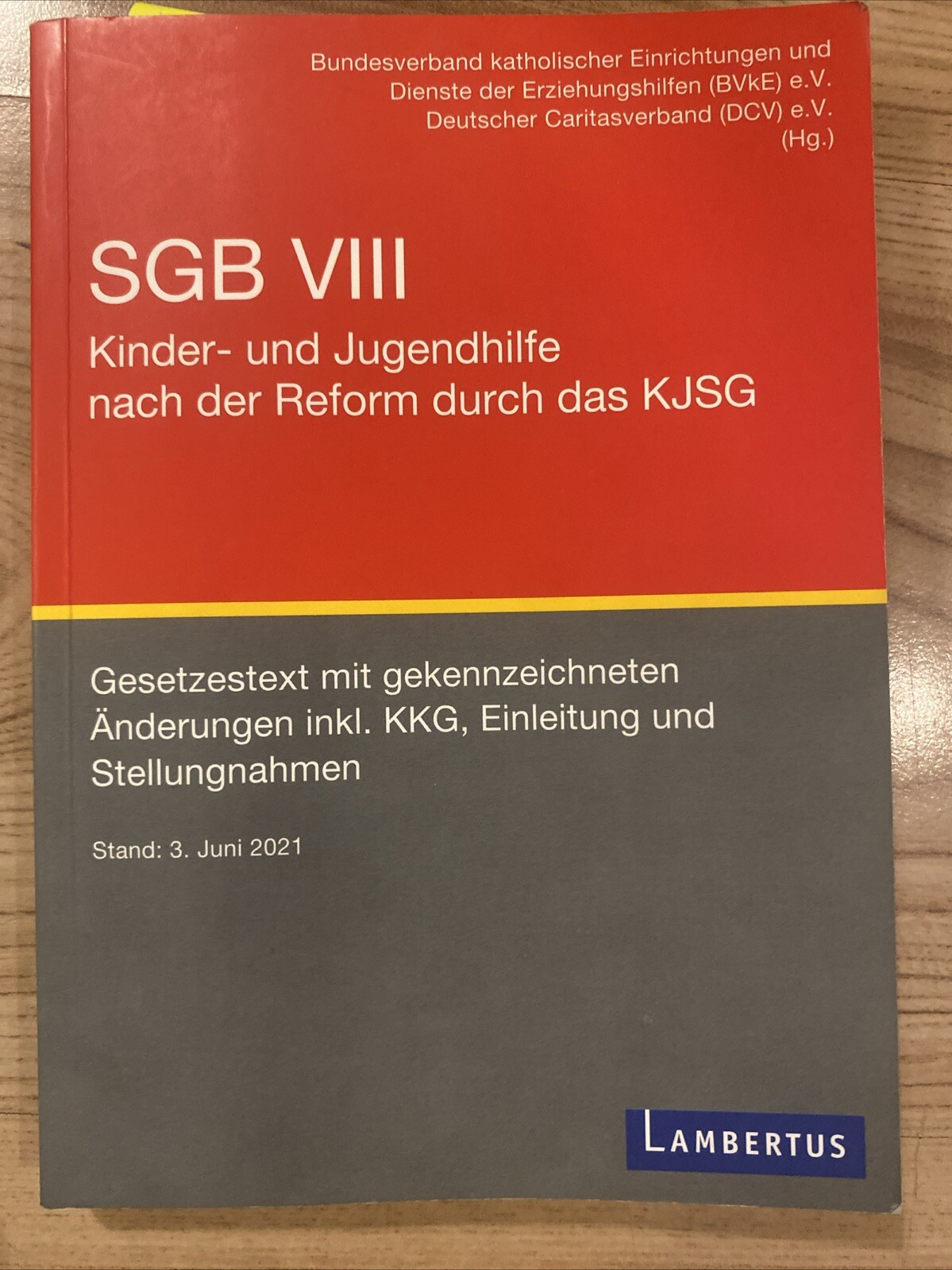 Thumbnail - Sgb Viii - Kinder- Und Jugendhilfe Nach Der Reform Durch Das Kjsg