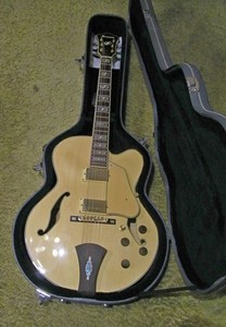 Ibanez Af 105 | eBay