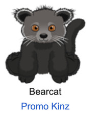 Webkinz Classic Bearcat Code Only Promo Kinz HTF Virtual Deluxe Membership Pet