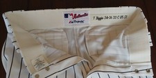 HOF CRAIG BIGGIO 2005 SET 1 Game Used Pants HOUSTON ASTROS World Series Season