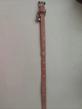 Pretty pink dog collar with rhinestone & Crown. Measures 12 inches long.