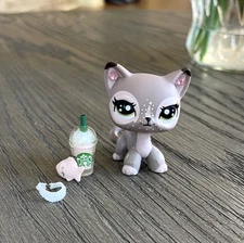 LPS Littlest Pet Shop Lover'sQA custom short hair cat model