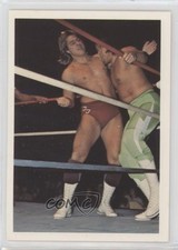 1988 Wonderama NWA Terry Taylor #109 0s4