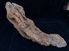 Natural Driftwood Art "The Dragon's Talon"