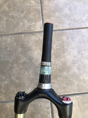カーボン BRAIN SPECIALAIZED Specialized Brain Future Shock Carbon 26