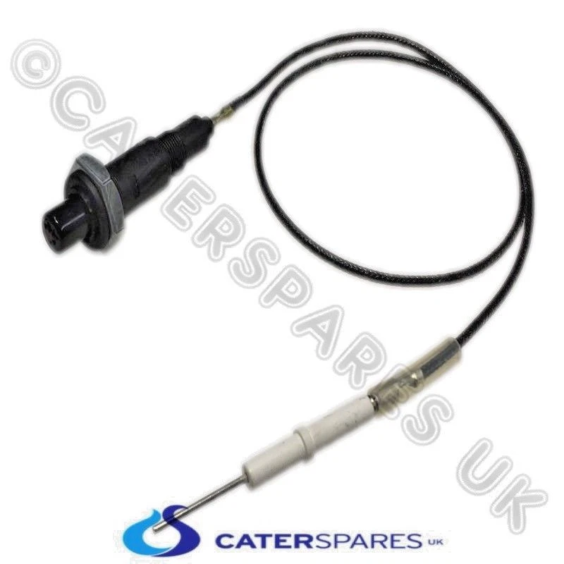 BLUE SEAL GAS FRYER IGNITION UNIT ELECTRODE IGNITOR & LEAD 020119 227508 18095