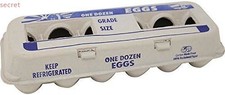 Egg Cartons Bundle of 250, Made from Recycled Paper, Biodegradable  Compostable