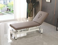 homeLyD Physical Therapy Table Hi-Lo Adjustable 2 Section PT Treatment Table