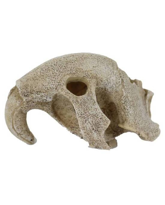 Crâne d'oiseau Reptiles Planet pour réduire le stress des reptiles avec une cachette