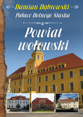 Damian Dąbrowski, Pałace Dolnego Śląska. Powiat wołowski (Dabrowski  Palace...)