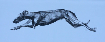 Riesige original signierte Tuscheskizze eines Whippet Windhundes Lurcher auf Leinwand