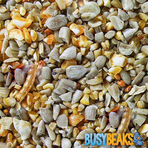BusyBeaks Robin & Songbird Food - High Energy Wild Bird Seed For Garden Birds - Picture 13 of 48