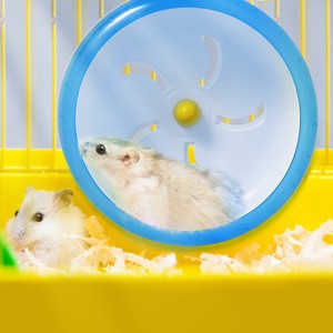 silent spinner hamster