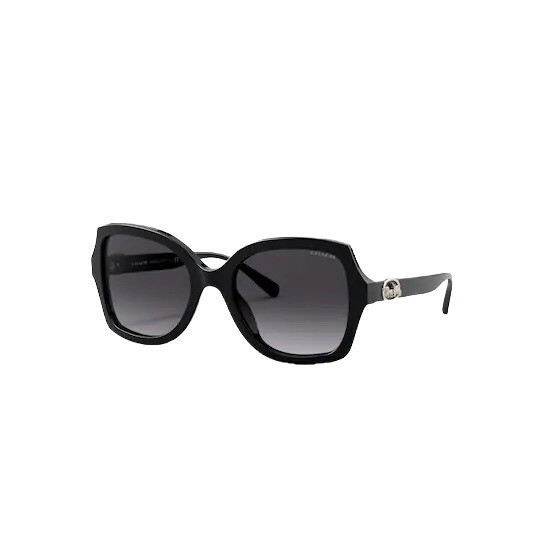 【送料,関税込】 COACH サングラス L1114  HC8278 Coach HC8278 L1114 Sunglasses | FREE Shipping - Go-Optic.com