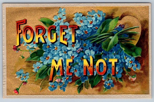 Forget Me Not, Antique 1915 Embossed Postcard - 第 1/2 張圖片