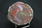 Bild 3 von 4