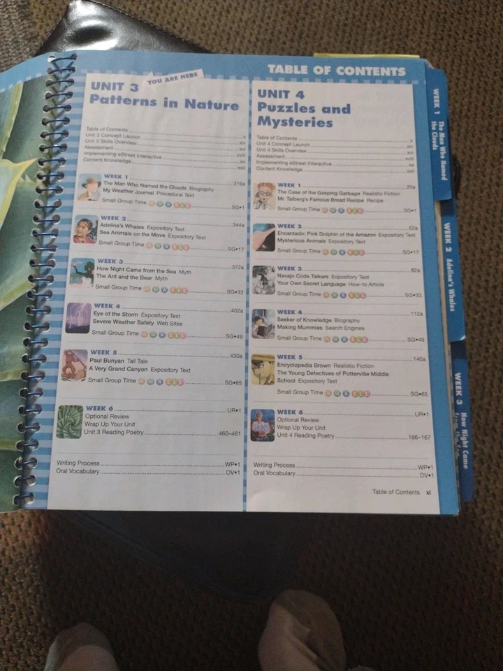 READING STREET, COMMON CORE, GRADE 4.3 TEACHER'S EDITION By Scott Foresman.Learn - Image 3 of 3