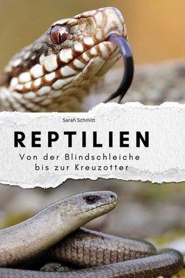 Sarah Schmitt | Reptilien | Buch | Deutsch (2024) | 86 S. | FlipFlop