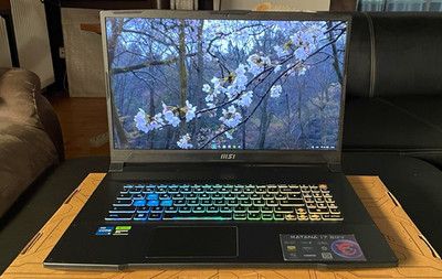 MSI Katana 17 B12V Notebook 17,3 Zoll Intel Core i5 NVIDIA GeForce RTX Schwarz