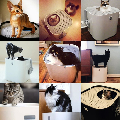 modko modkat cat litter box