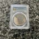 1884-O MORGAN SILVER DOLLAR :: NGC MS-63 :: Beautiful Toning