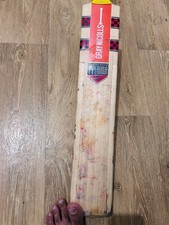 Nicolls Gray English Willow Cricket