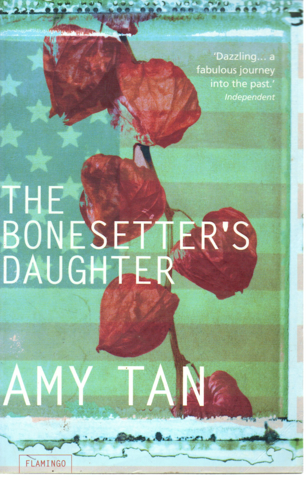 The Bonesetter's Daughter by Amy Tan (Paperback, 2001)