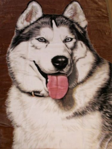 Bedspread cosy blanket throw blanket plaid motif husky-brown 160x200 cm - Picture 1 of 1