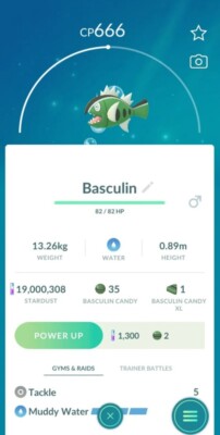 Basculin ( White Stripped ) Pokémon Trade  Go Fast Same Day
