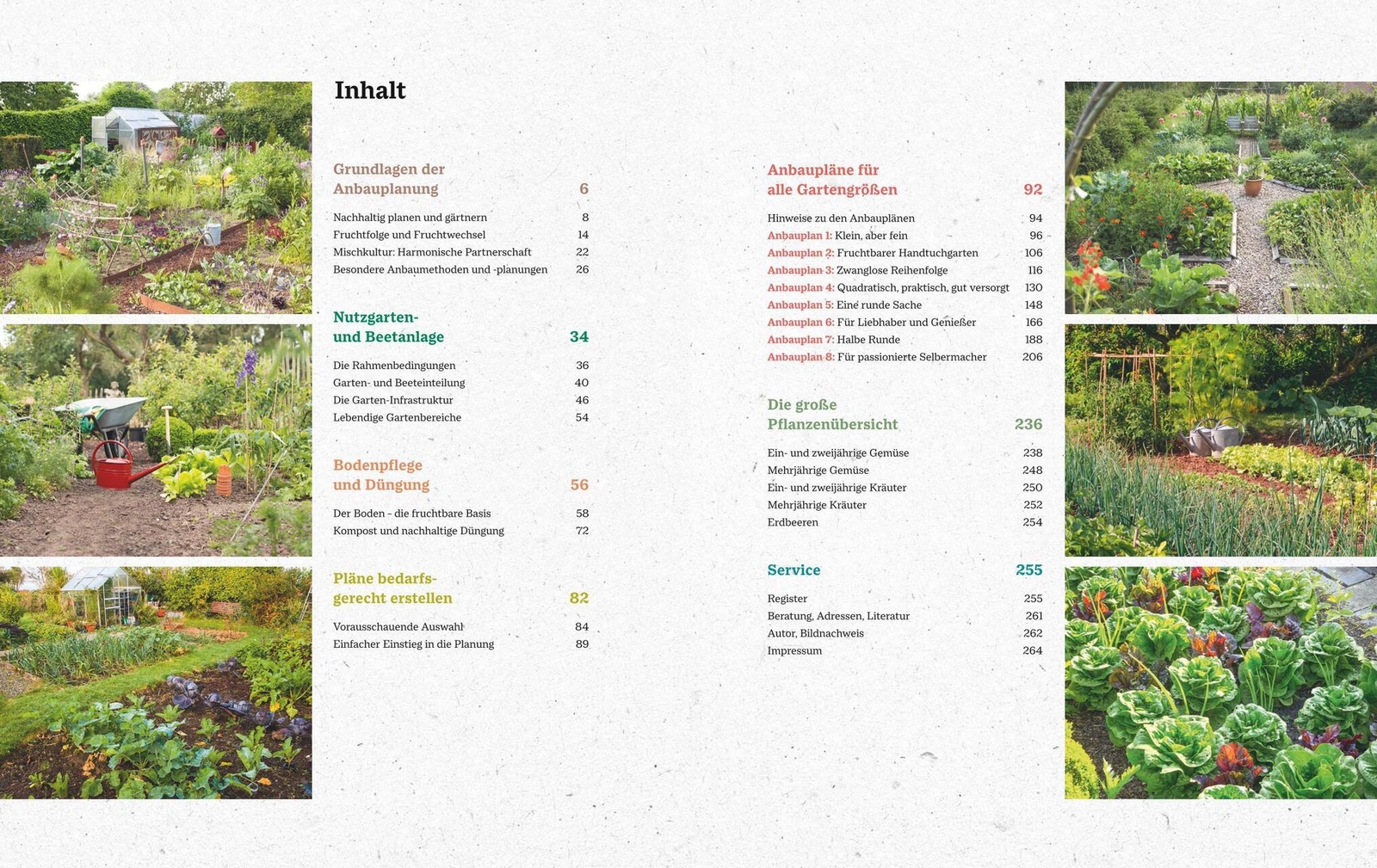 Thumbnail - Joachim Mayer Das Große Blv Handbuch Gemüse-anbauplanung
