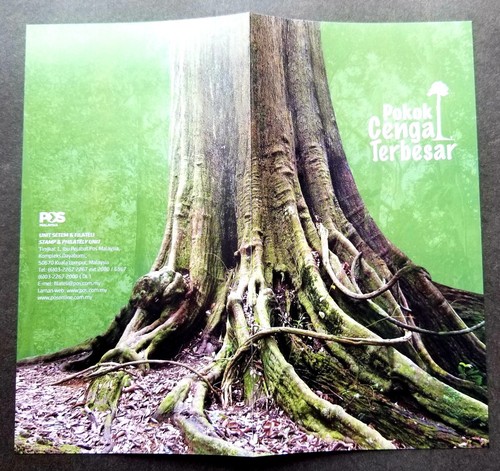 Malaysia Largest Cengal Tree 2023 Flower Seed Plant Forest Flora (special FDC) - Picture 2 of 7