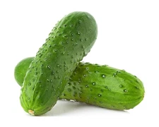 National Pickling Cucumber Seeds for Planting - Heirloom, Non-GMO, USA Grown ...