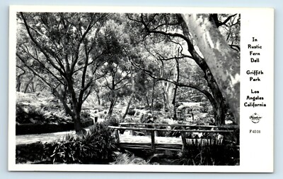 Postcard In Rustic Fern Dell, Griffith Park, Los Angeles CA RPPC C379