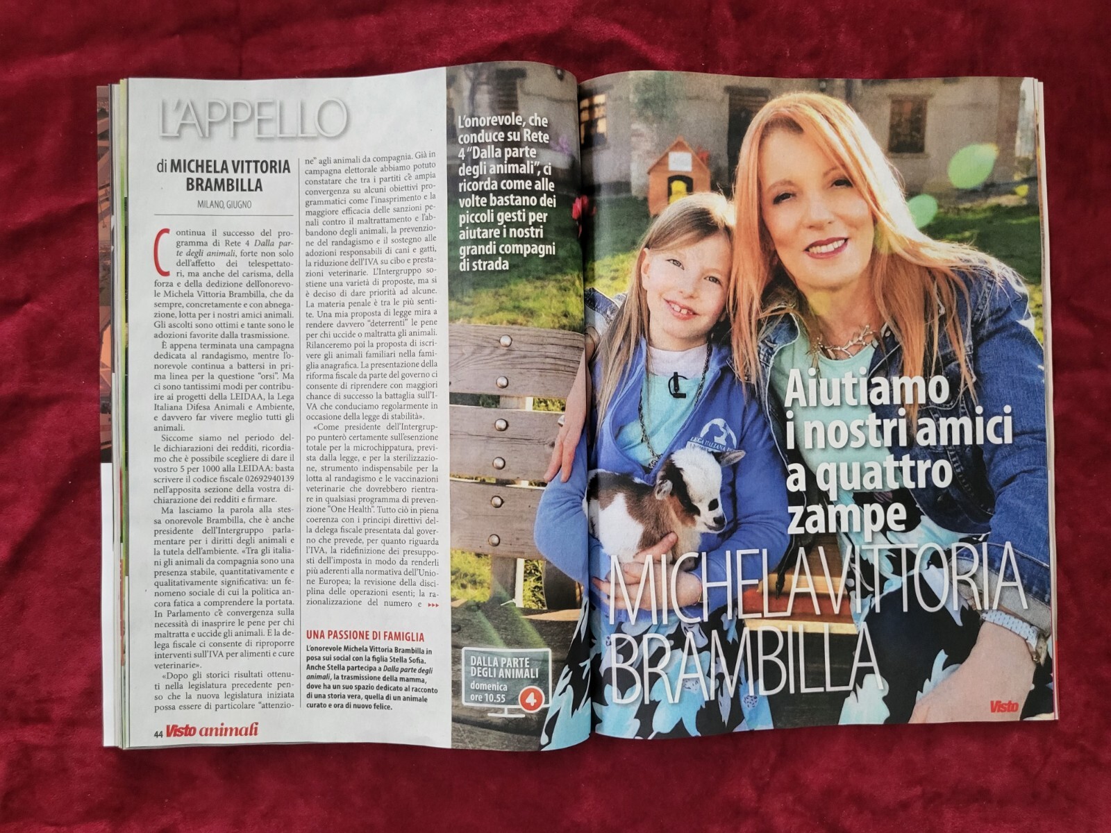 Foto 9 di 14