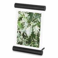 Umbra Bilderrahmen Scroll, Deko Tischbilderrahmen, Fotorahmen, Schwarz 13X18 Cm