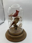 Foto 10 di 19