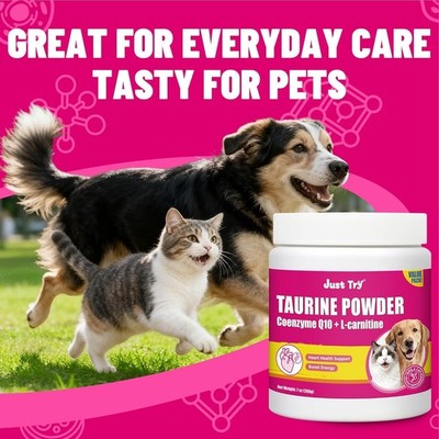 l carnitine cat supplement EVL L-Carnitine Supplement for Weight Loss Support - Uganda